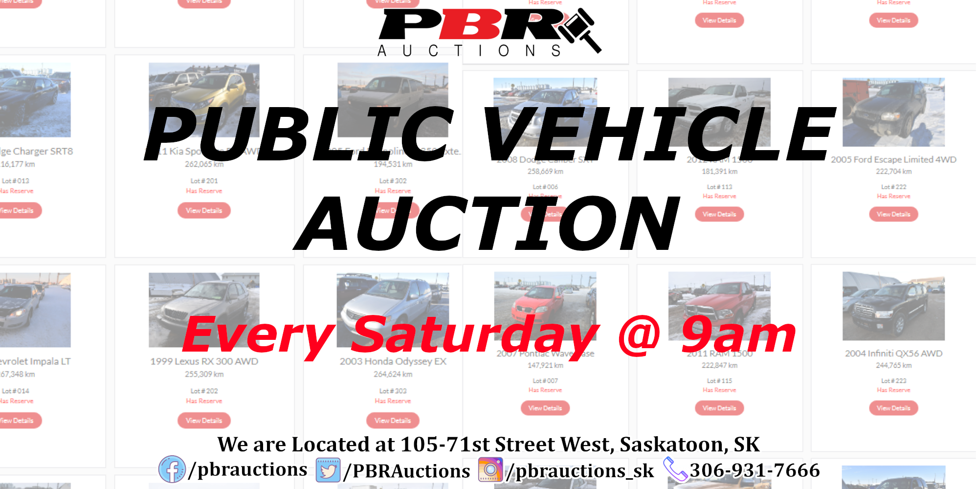 PBR Auctions