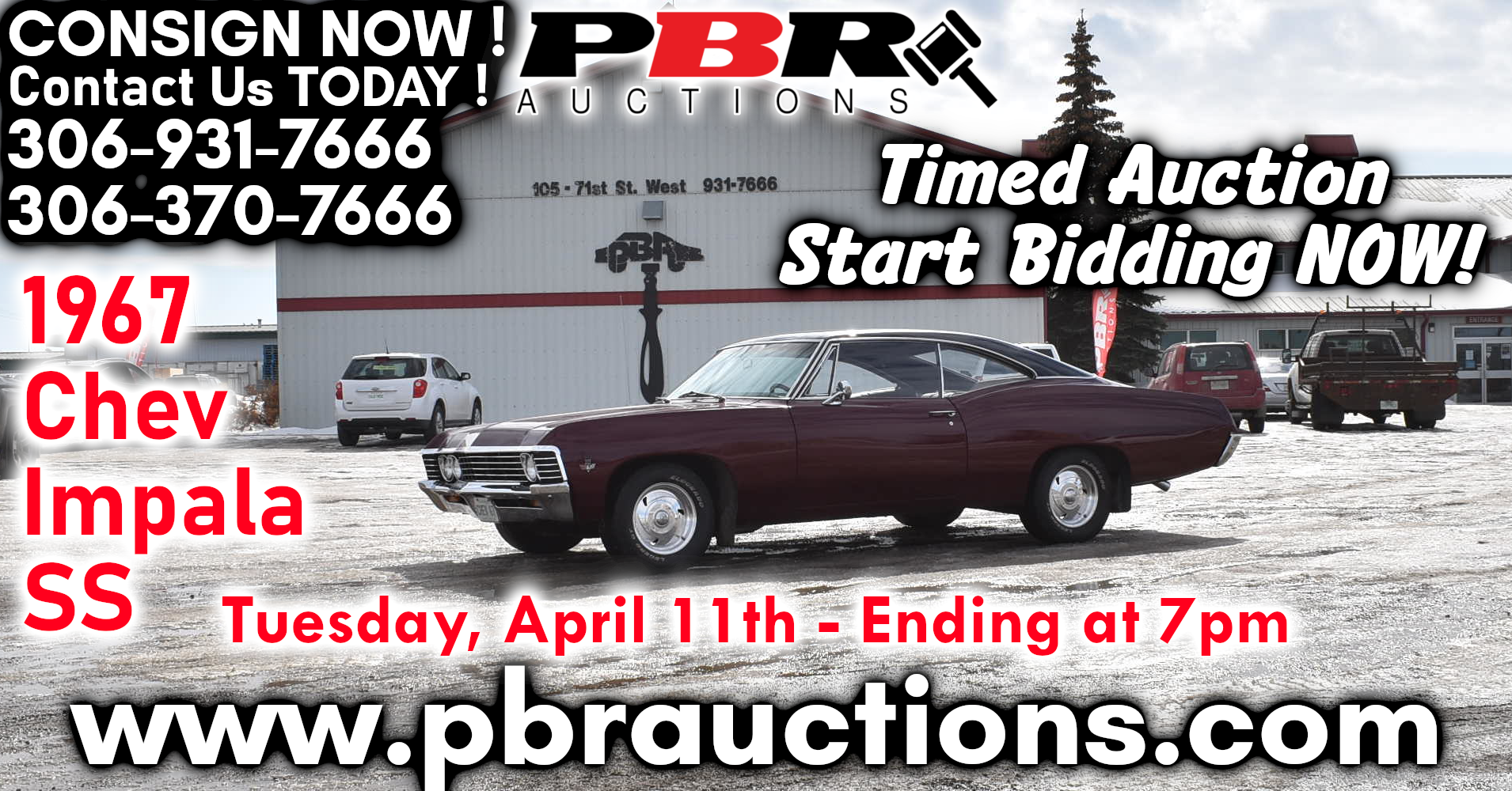 Pbr Auctions