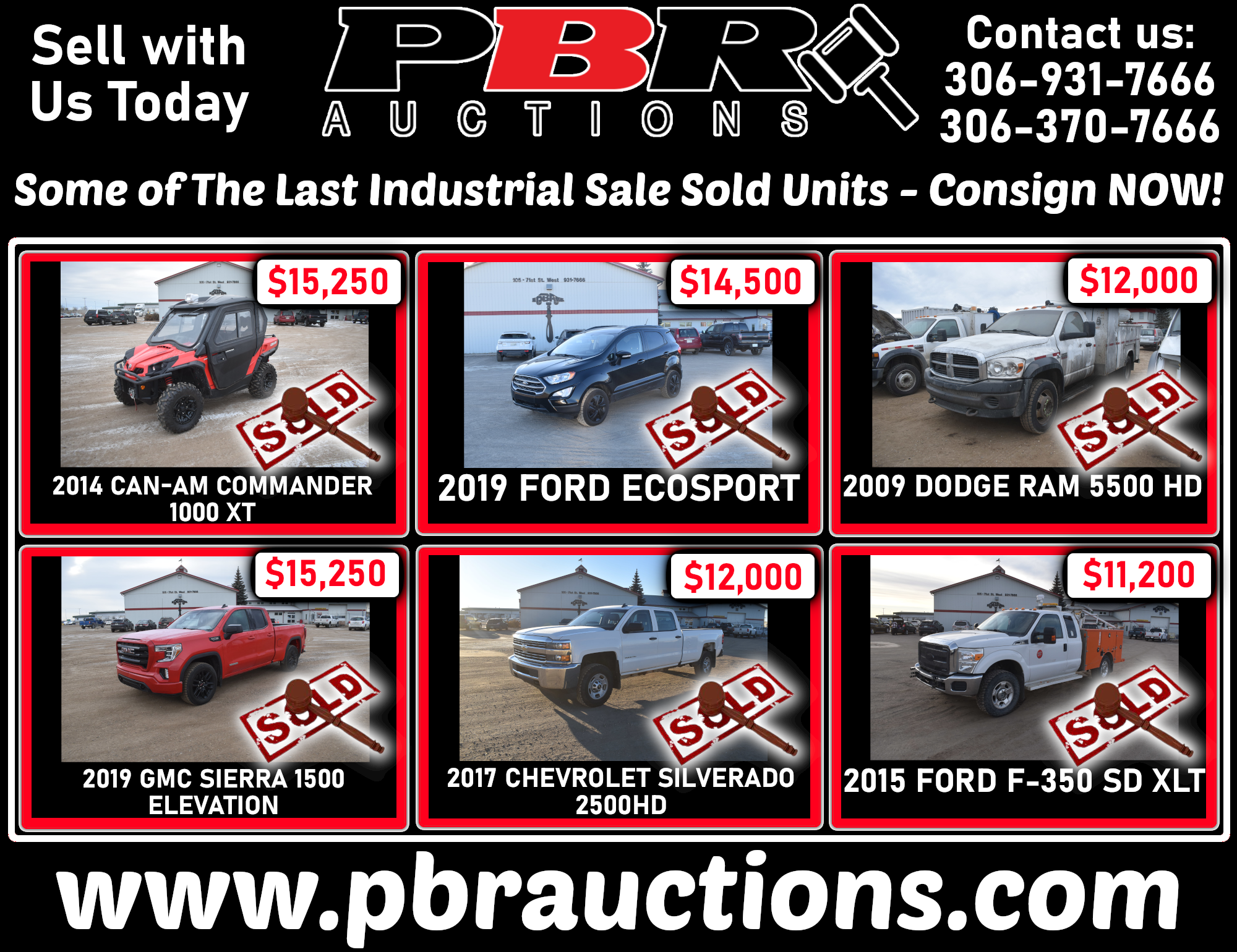 PBR Auctions