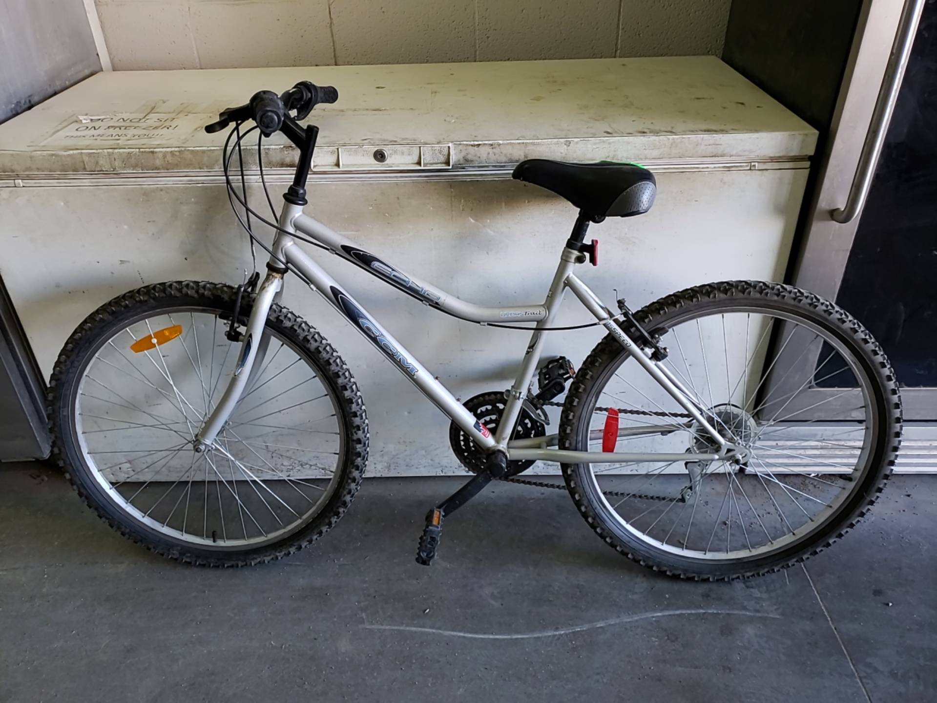 Ccm best sale echo bike