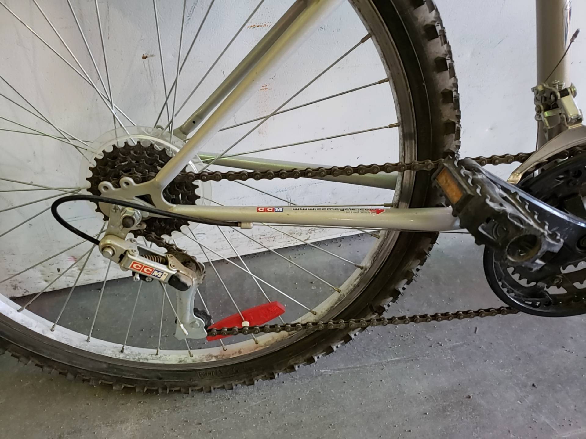 Ccm deals echo bike